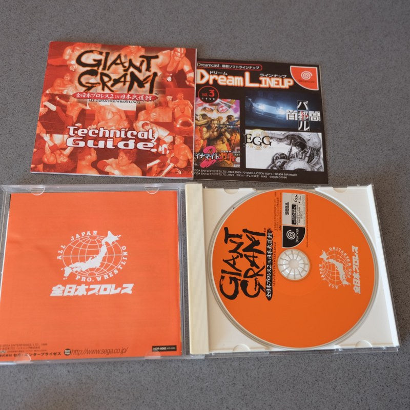 Giant Gram All Japan Pro Wrestling 2 - SEGA