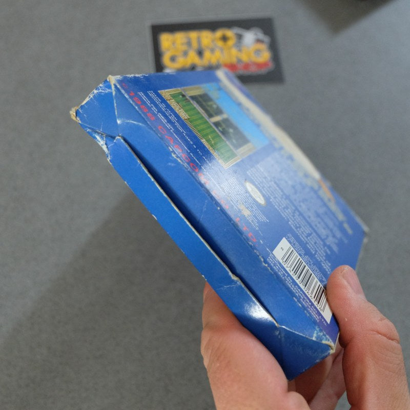 Mega Man