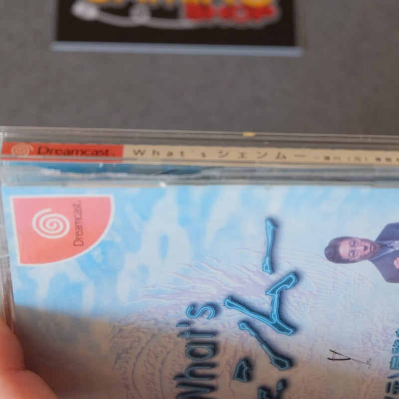 What’s Shenmue - SEGA