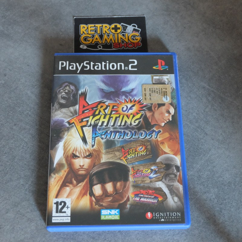 Vendita Art Of Fighting Anthology - Retrogaming Shop