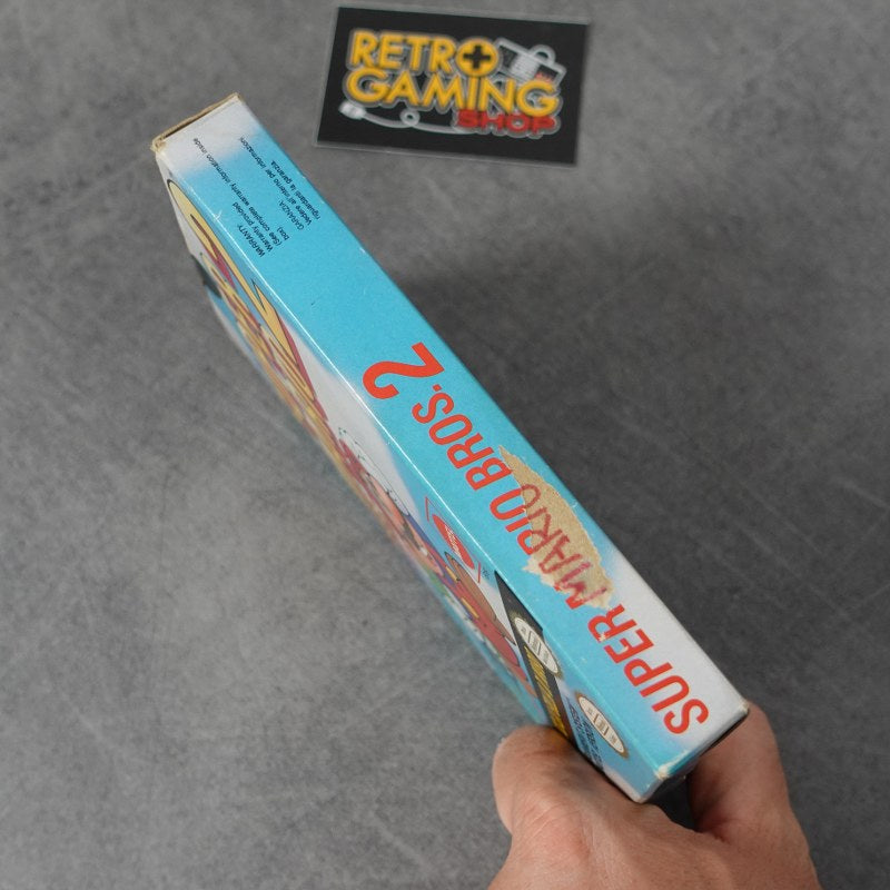 Super Mario Bros 2