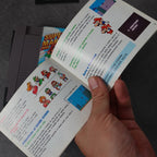 Super Mario Bros 2