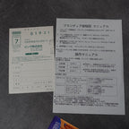 Makaimura für Wonderswan
