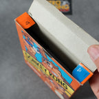 Donkey Kong Classics GIG