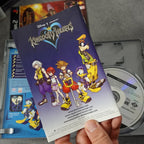 Kingdom Hearts