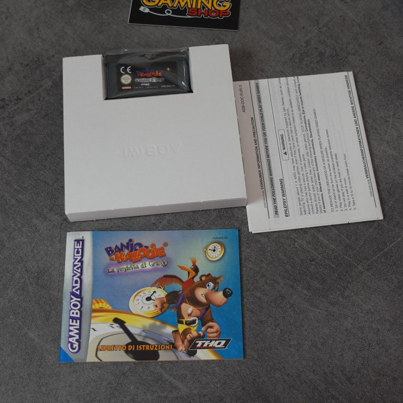 Banjo Kazzoie Grunty's Revenge