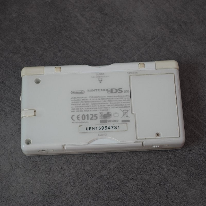 DS Lite + Brain Training