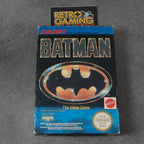 Batman the Video Game