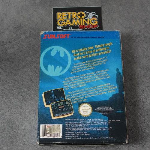 Batman the Video Game