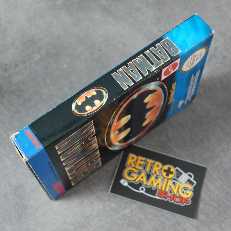 Batman the Video Game