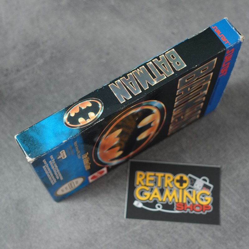 Batman the Video Game