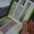 Pokémon Smaragd-Edition