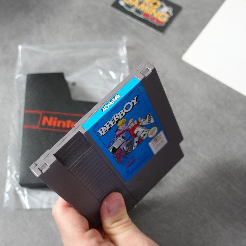 Vendita Paperboy - Retrogaming Shop