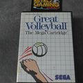Great Volleyball