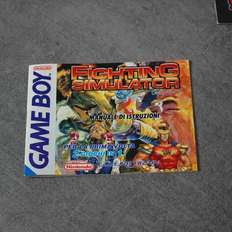 Fighting Simulator GIG