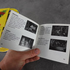 Braindead 13 Ver. 1.1 Panasonic 3do