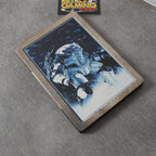 Vendita Lost Planet Extreme Condition Limited Edition - Retrogaming Shop