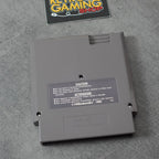 Vendita Paperboy - Retrogaming Shop