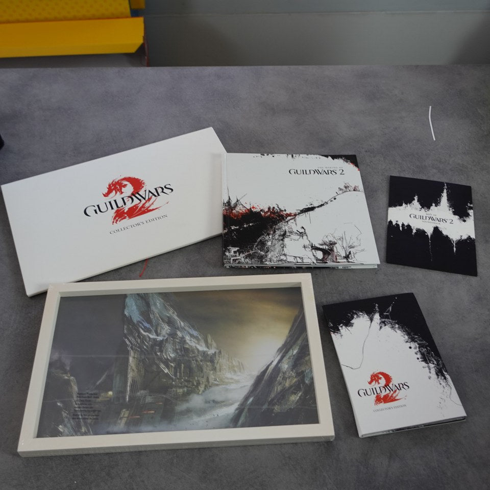 Vendita Guild Wars 2 Collector's Edition - Retrogaming Shop