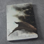 Vendita Pandora's Tower Limited Edition - Retrogaming Shop