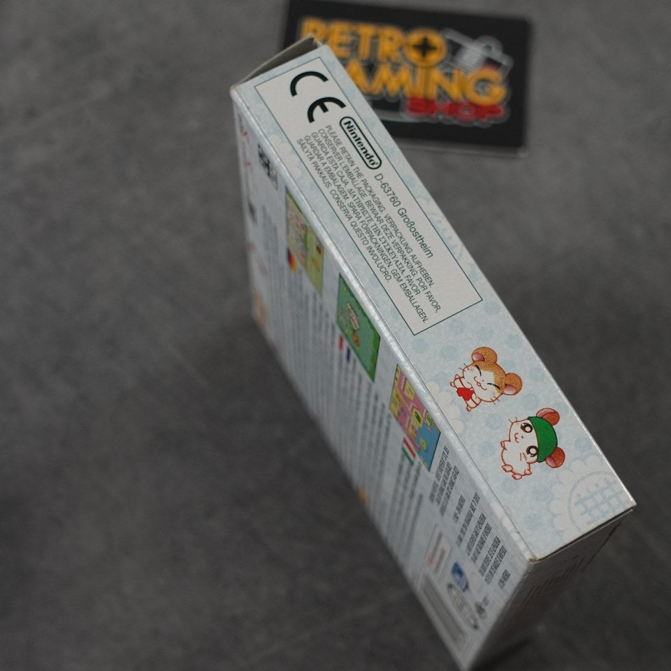 Vendita Hamtaro Rainbow Rescue - Retrogaming Shop