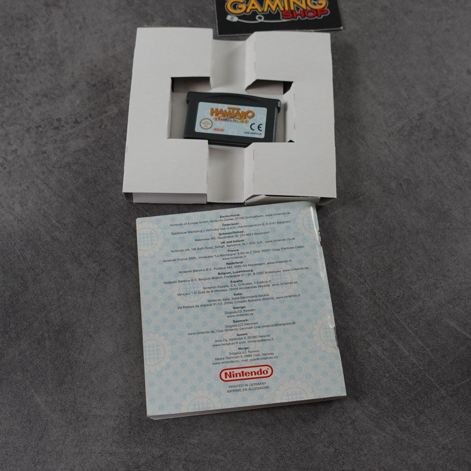 Hamtaro Rainbow Rescue Nintendo