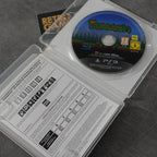 Terraria