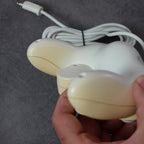 Gamecube Controllers