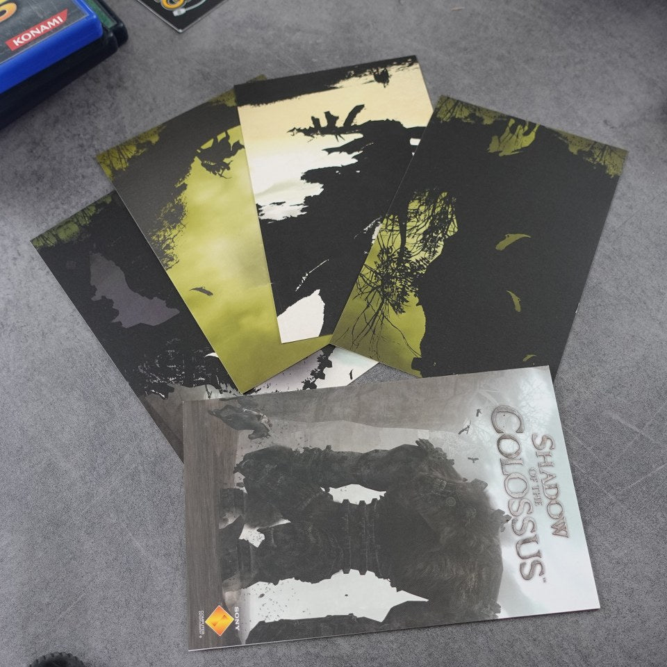 Vendita Shadow of The Colossus - Retrogaming Shop