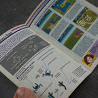 Vendita Pilotwings Gig - Retrogaming Shop