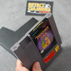 Dragon's Lair