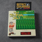 T&E Virtual Golf