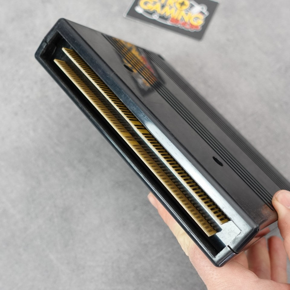 Vendita Art Of Fighting Mvs - Retrogaming Shop