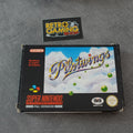 Pilotwings 64