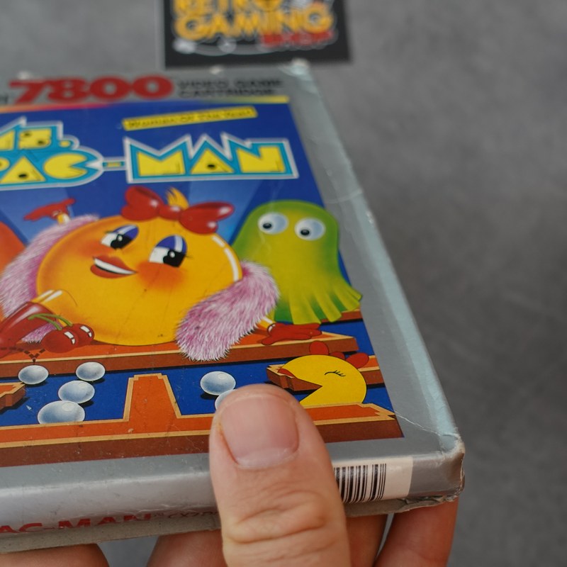 Ms. Pac-Man