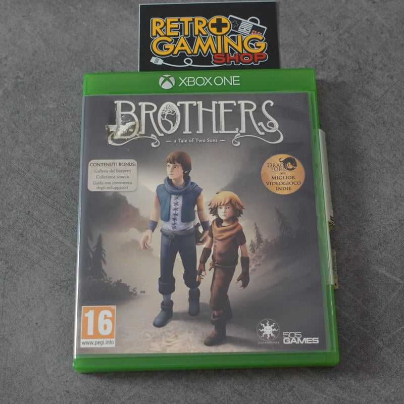 Brothers A Tale of Two Sons