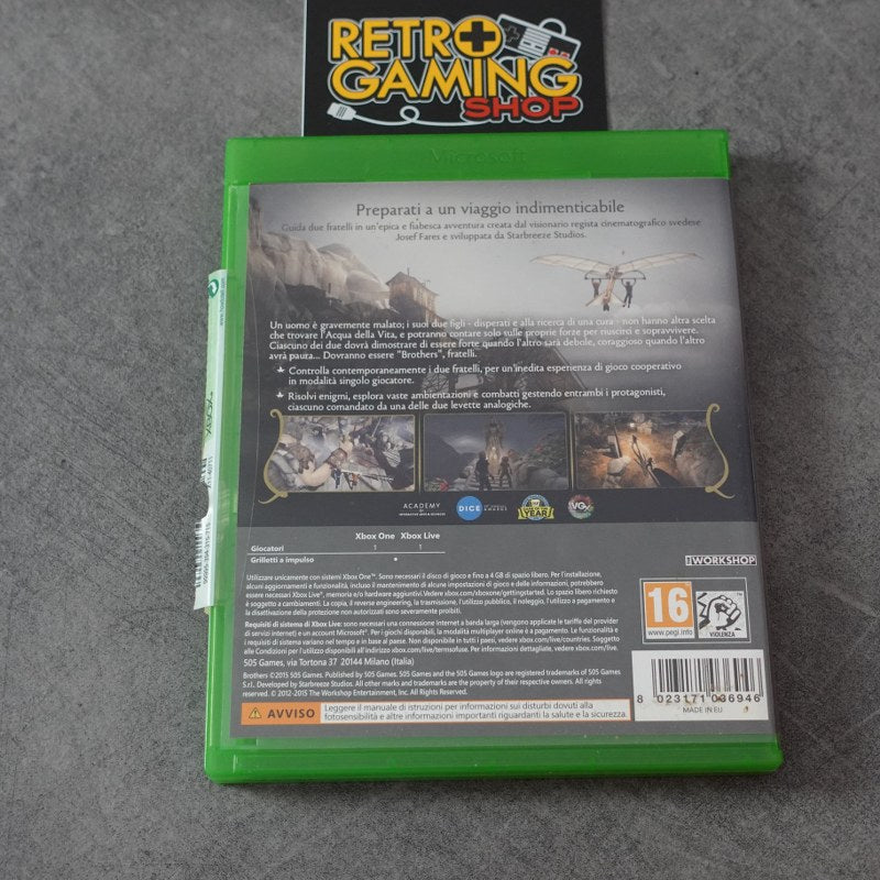 Brothers A Tale of Two Sons