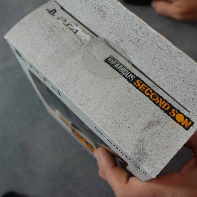 Infamous Second Son Edizione da Collezione