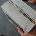 Infamous Second Son Edizione da Collezione
