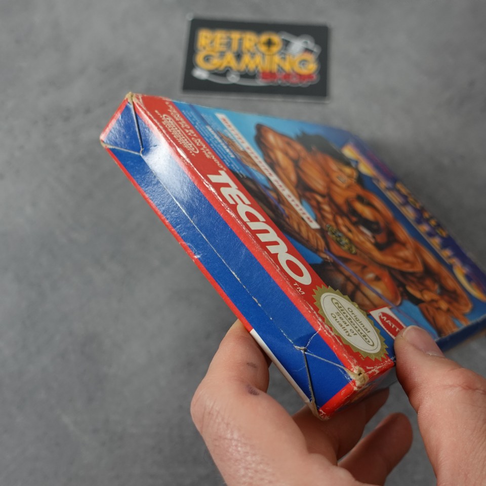 Vendita Tecmo World Wrestling - Retrogaming Shop
