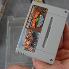 Vendita Super Donkey Kong 3 - Retrogaming Shop
