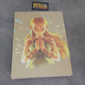 Vendita The Legend of Zelda Breath of The Wild La Guida Ufficiale Completa Edizione Espansa Nuova - Retrogaming Shop