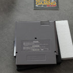 Vendita Shadow Warriors 2 Ninja Gaiden - Retrogaming Shop