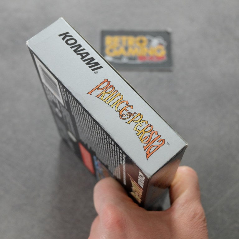 Prince Of Persia Gig Nintendo