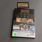 Vendita Orphen: Scion Of Sorcery - Retrogaming Shop