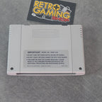 Vendita The Flintstones - Retrogaming Shop