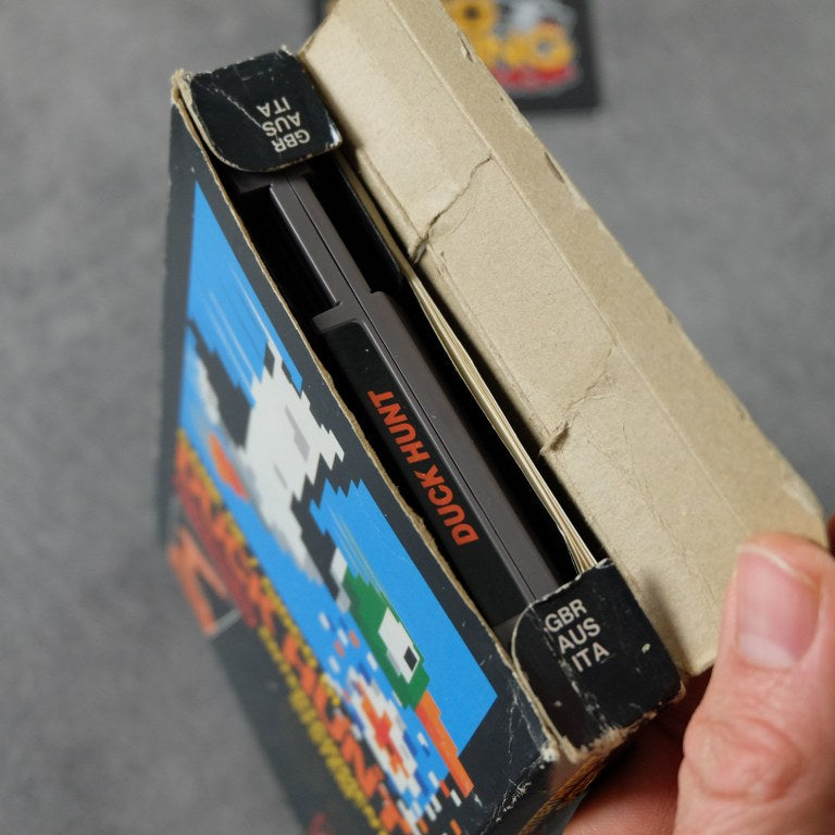 Duck Hunt Nintendo