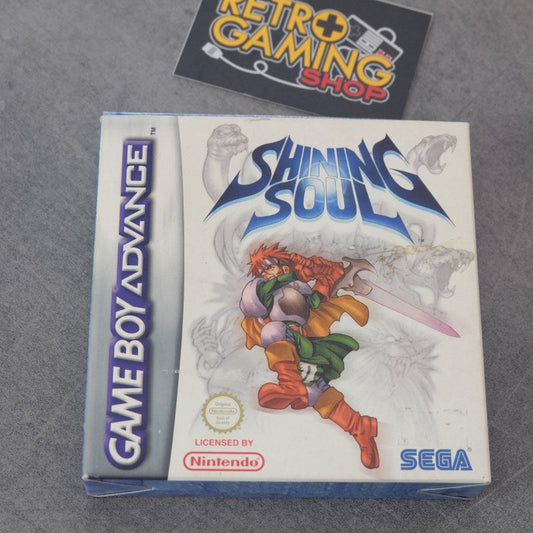 Shining Soul Nintendo