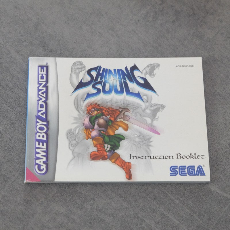 Shining Soul Nintendo
