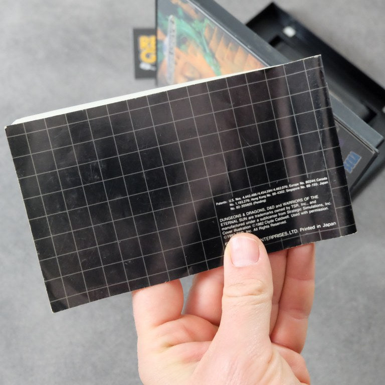 Dungeons & Dragons: Warriors Of the Eternal Sun